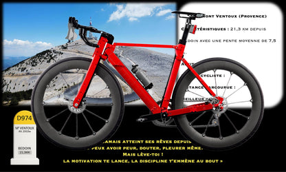 Kadris – LEGO® Icons Le vélo de route 11380 – visuel 23