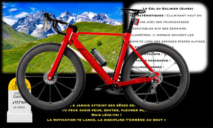 Kadris – LEGO® Icons Le vélo de route 11380 – visuel 24