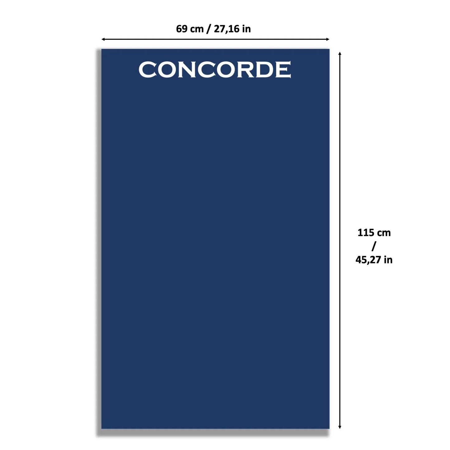 LEGO Concorde 10318