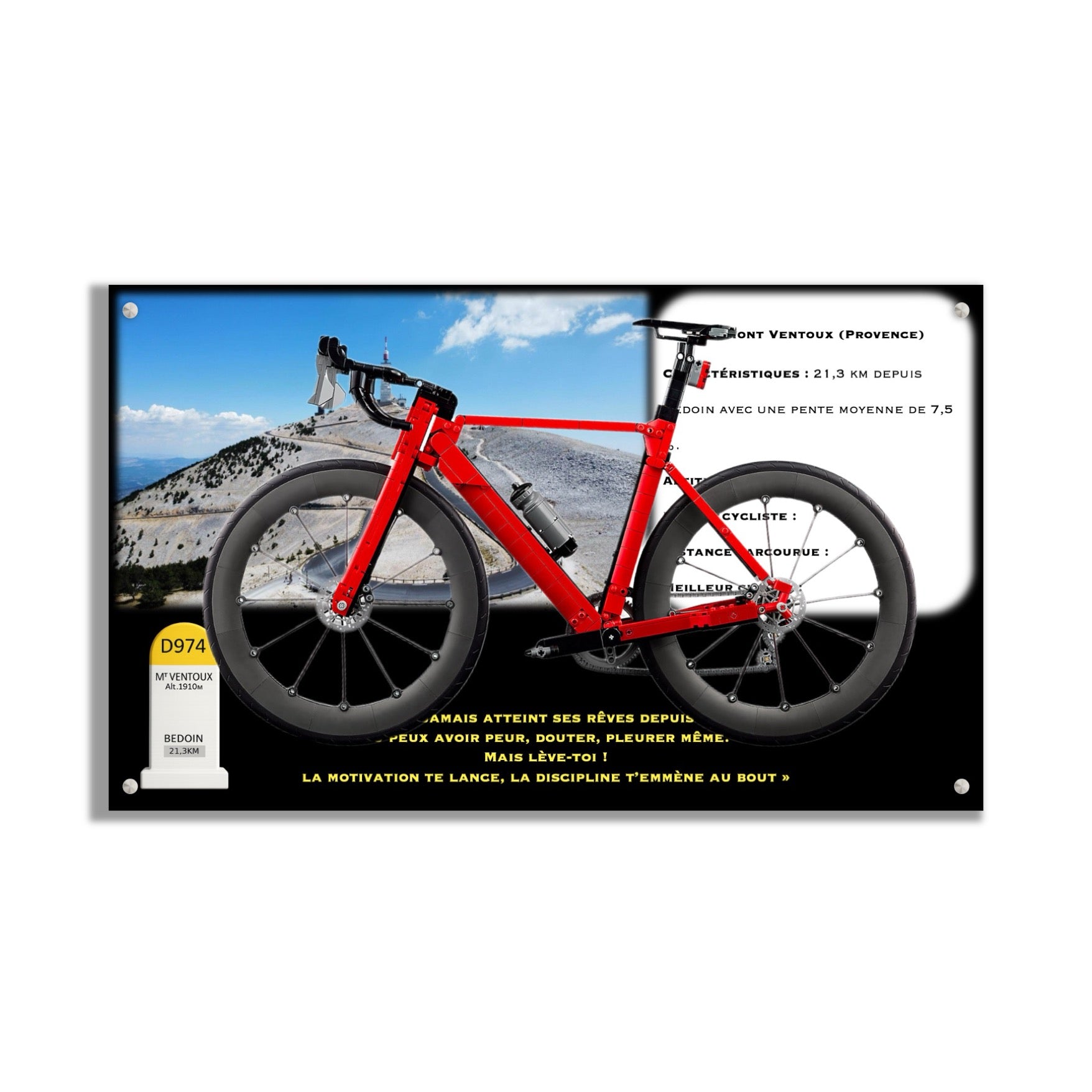 Kadris – LEGO® Icons Le vélo de route 11380 – visuel 31