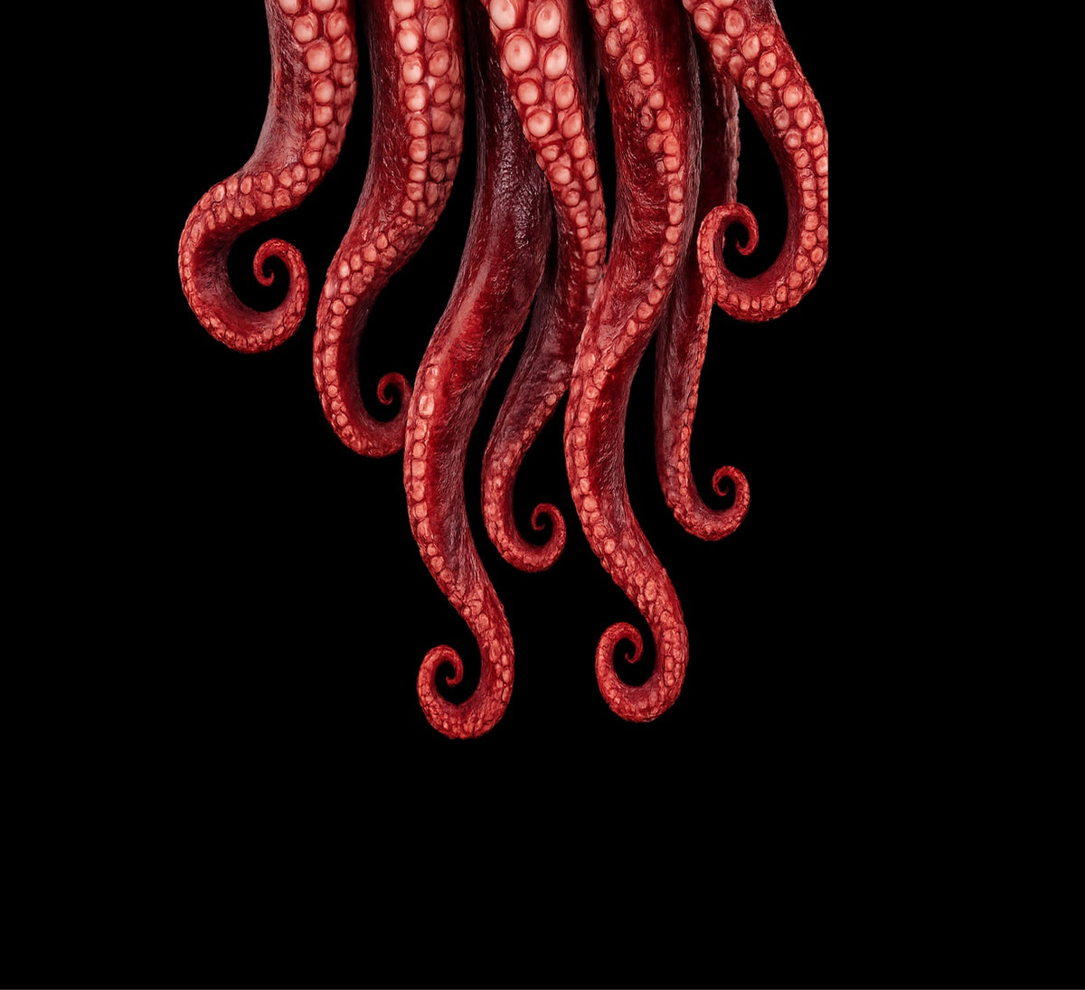 Bateau pirate Jack Sparrow LEGO® 10365 – Décor Crimson Tentacles – Visuel du décor seul – Fond de meuble aluminium Kadris®