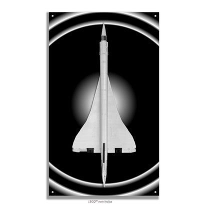 Kadris – LEGO® Icons Concorde 10318 – visuel 31