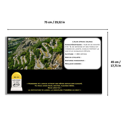 Kadris – LEGO® Icons Le vélo de route 11380 – visuel 40