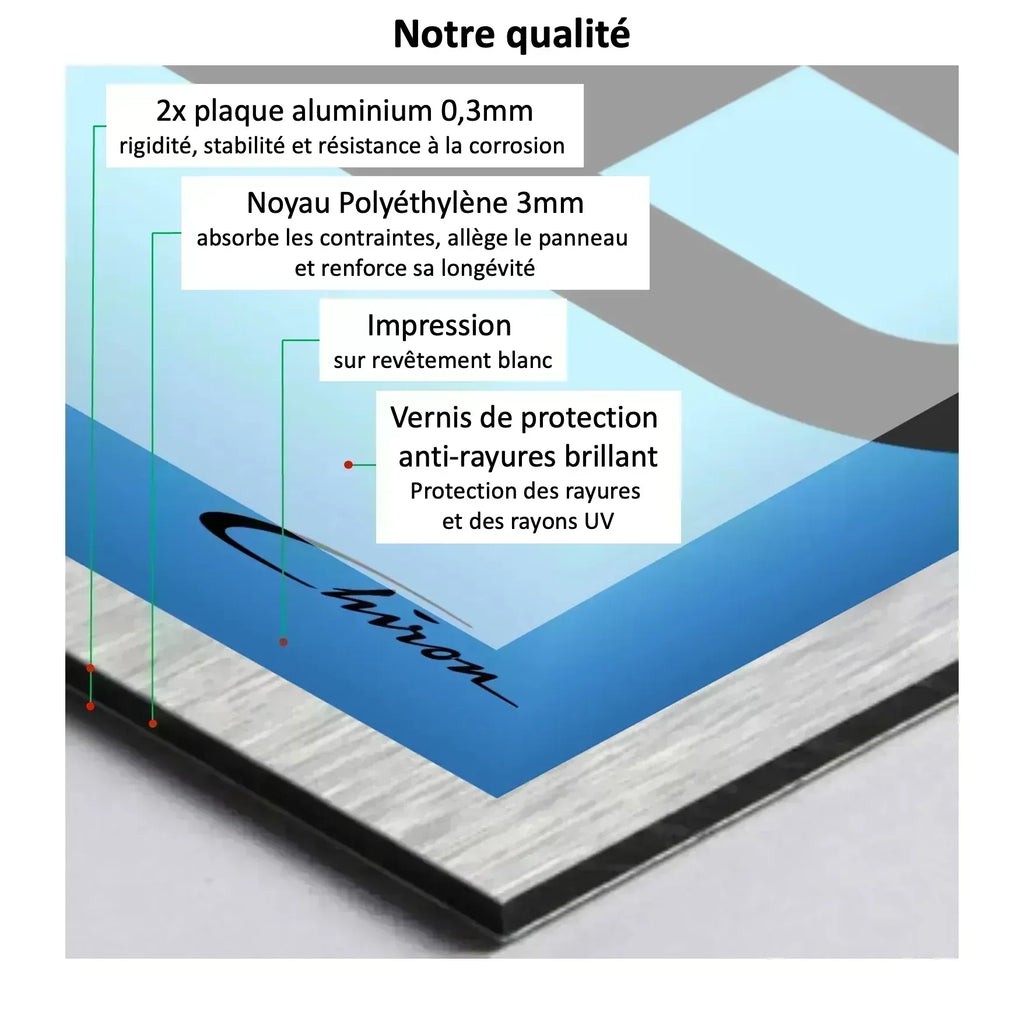 Tableau mural pour Shelby Cobra 427S/C LEGO 10357 - Kadris