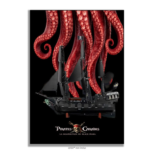 Découvrez nos tableaux pour le LEGO ICONS 10365 : Bateau pirate du capitaine Jack Sparrow