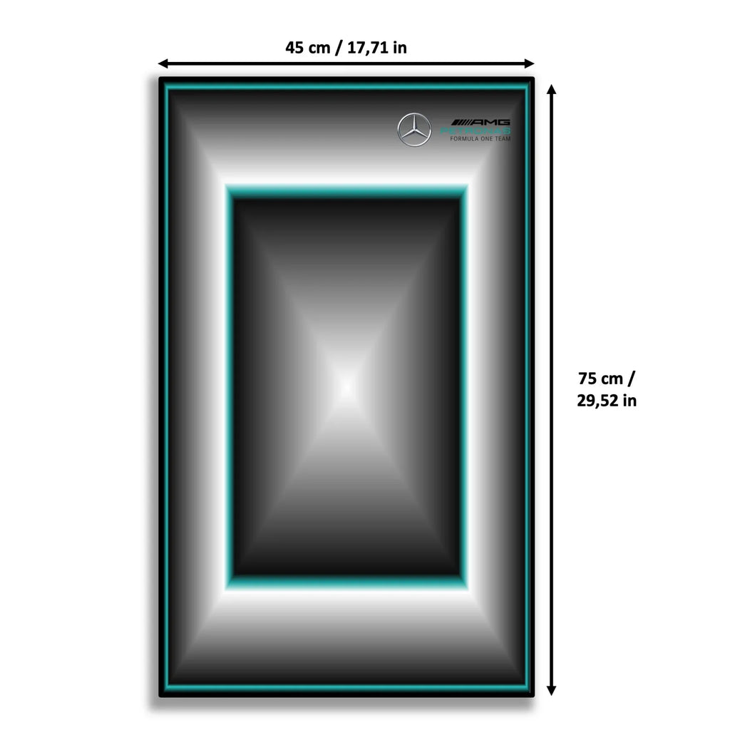 Tableau pour F1 Mercedes LEGO Technic 42171 - Kadris
